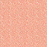 Papel origami 10x10cm, 15x15cm 20x20cm 70gr 60 hojas 95365C CLAIRE FONTAINE CENTROARTESANO