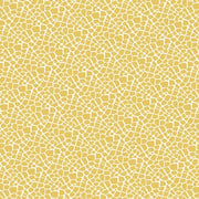 Papel origami 10x10cm, 15x15cm 20x20cm 70gr 60 hojas 95365C CLAIRE FONTAINE CENTROARTESANO