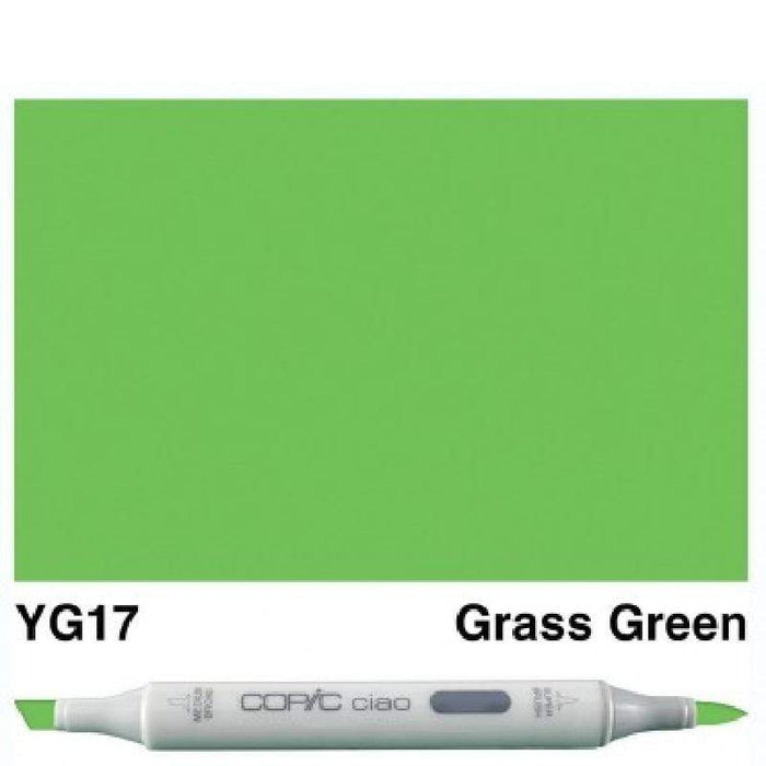 Copic Ciao YG17 grass green
