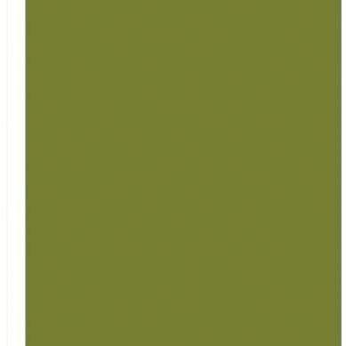 Dayka plancha foam 60x70 foam173 verde oliva DAYKA CENTROARTESANO