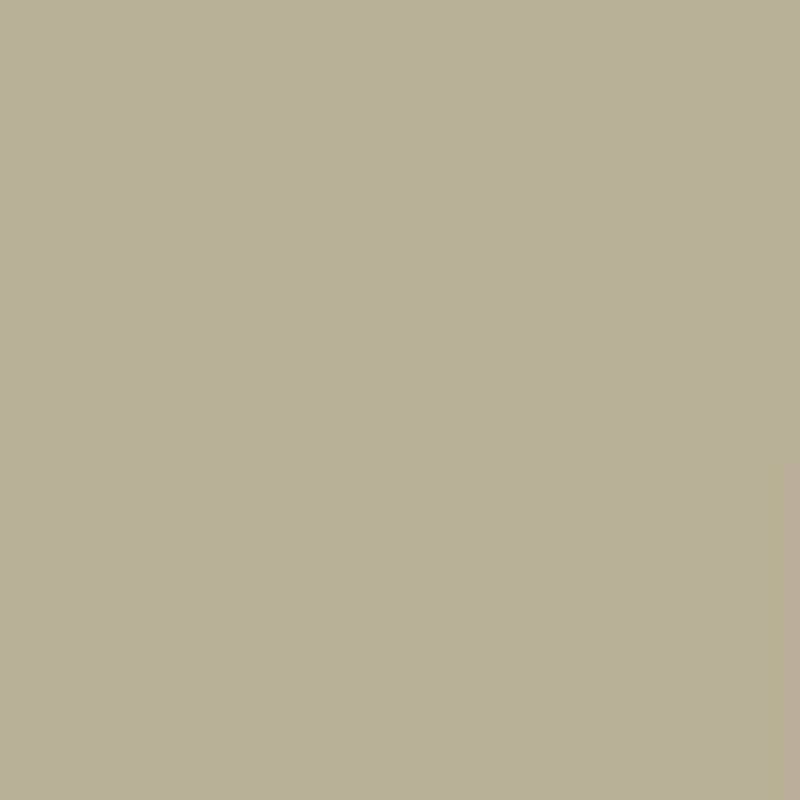 Americana patio paint DCP38 Natural Grey DECOART CENTROARTESANO