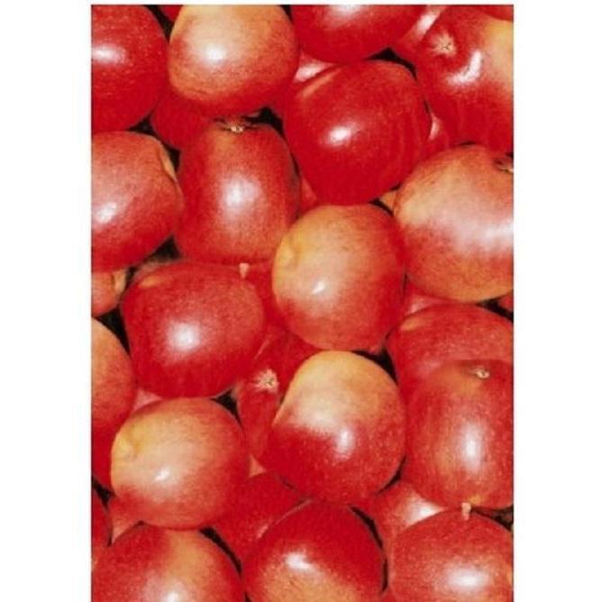 Papel Decopatch FDA491O Manzanas DECOPATCH CENTROARTESANO