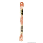 Hilo Bordar Mouliné Special DMC Tonos beige a tierra DMC 754 CENTROARTESANO