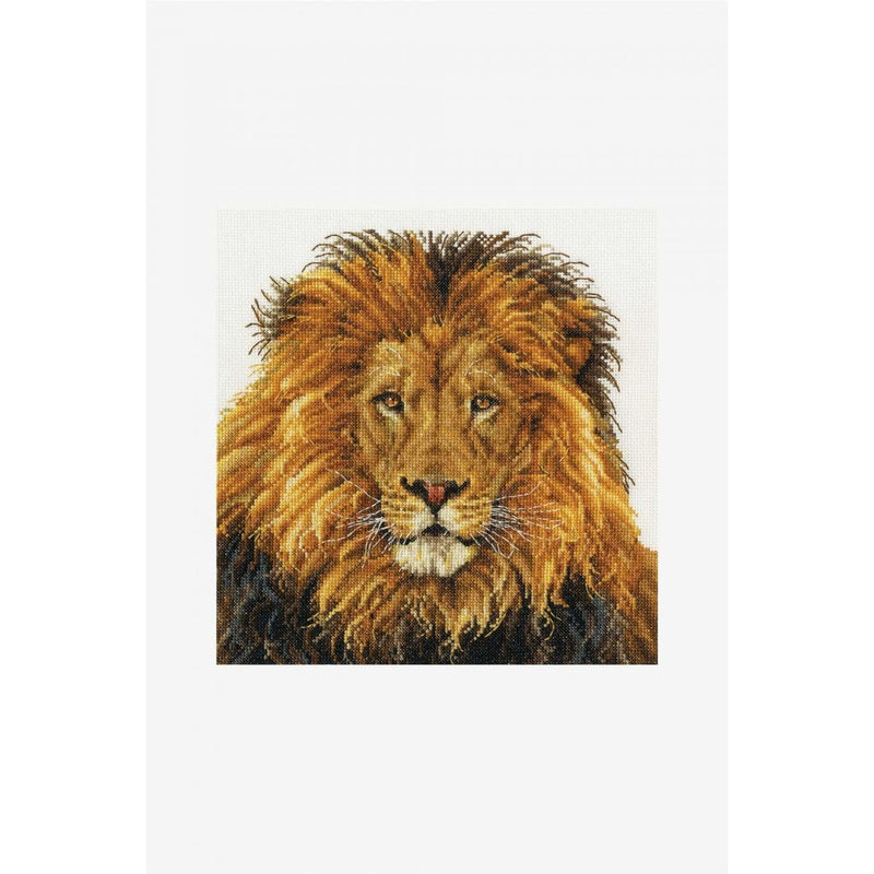 DMC Kit punto de cruz Lion pride BK1668 DMC CENTROARTESANO