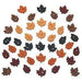 Set botones decorativos Tiny Raking Leaves 4874 DRESS IT UP CENTROARTESANO