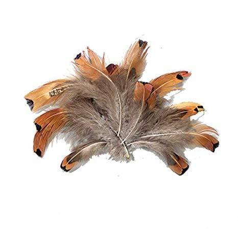 efco plumas de faisan 10cm 2g 1003403 EFCO CENTROARTESANO