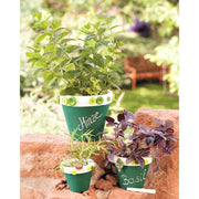 Efcor Maceta terracota 8cm 3405508 EFCO CENTROARTESANO