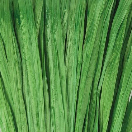Rafia sintÚtica 10gr brillante verde claro 9400438 EFCO CENTROARTESANO