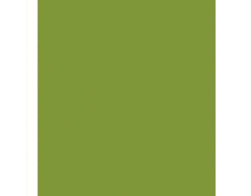 Foamiran plancha foam 60x70 foam119 Verde lima FOAMIRAN CENTROARTESANO