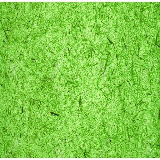 Papel arroz liso 50x70 verde manzana N/A CENTROARTESANO