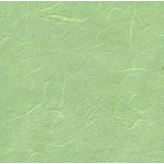 Papel arroz liso 50x70 verde menta 61 N/A CENTROARTESANO