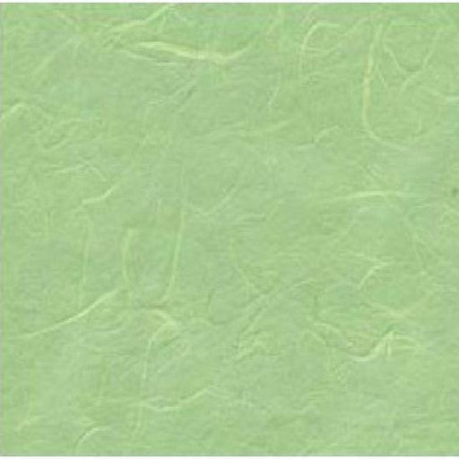 Papel arroz liso 50x70 verde menta 61 N/A CENTROARTESANO