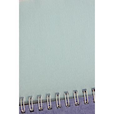 Rollo papel crespon 75% 0,50x2,5m AZUL CLARO N/A CENTROARTESANO