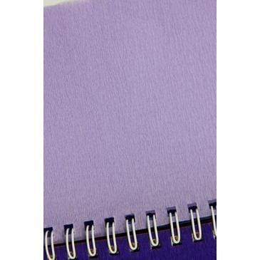 Rollo papel crespon 75% 0,50x2,5m MORADO CLARO N/A CENTROARTESANO