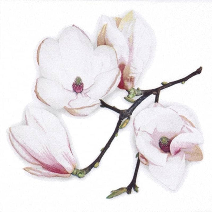 Servilleta decoupage flores Magnolias magnolia blanca PAP STAR CENTROARTESANO
