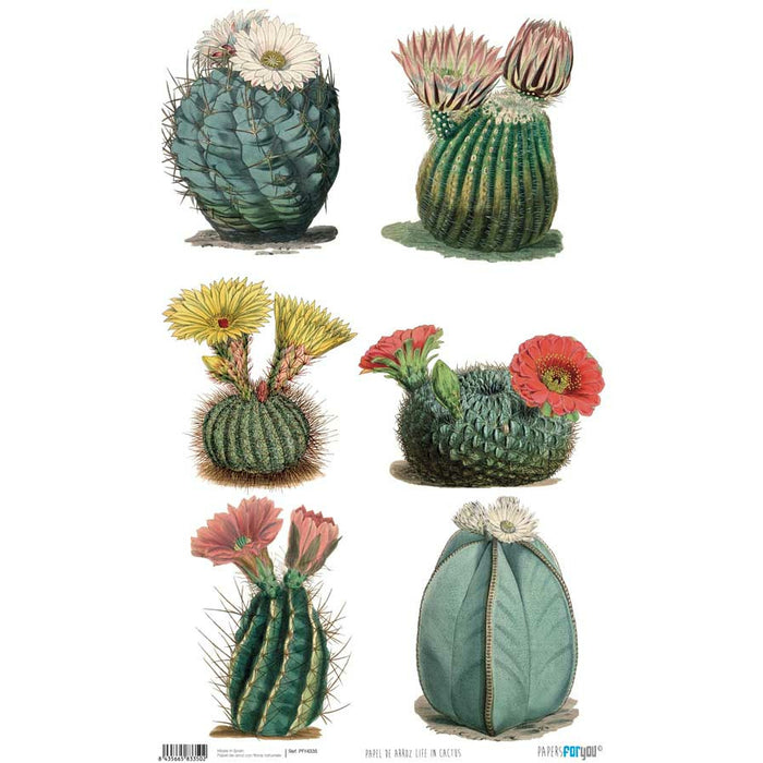 Papel arroz Papers for you 54x33cm PFY4335 Life in cactus PAPERS FOR YOU CENTROARTESANO