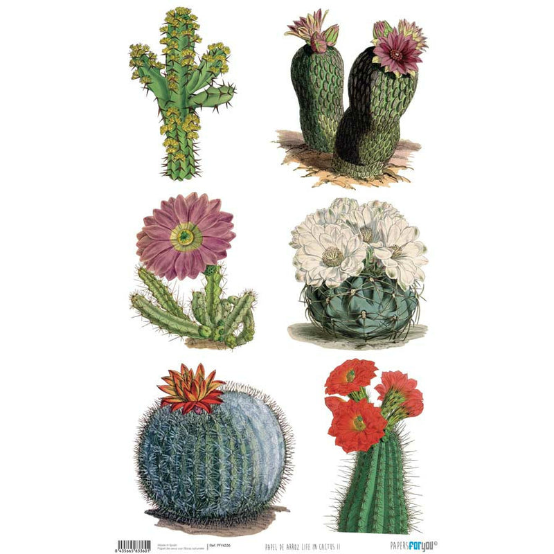 Papel arroz Papers for you 54x33cm PFY4336 Life in cactus II PAPERS FOR YOU CENTROARTESANO