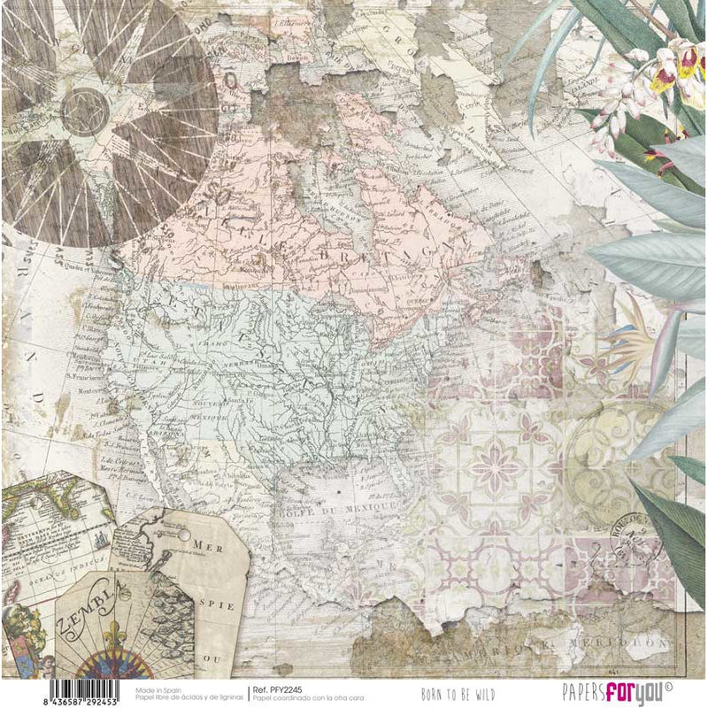 Papersforyou kit 12 scrap papers PFY2238 born to be wild