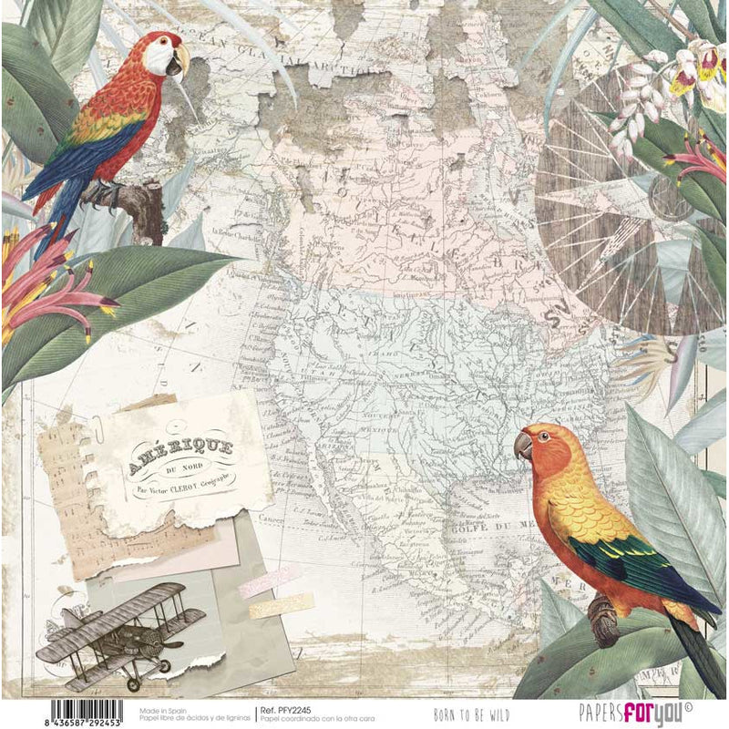 Papersforyou kit 12 scrap papers PFY2238 born to be wild