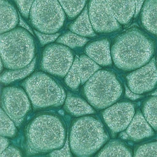 Pebeo fantasy prisme 45ml nº17 Verde Almendra PEBEO CENTROARTESANO