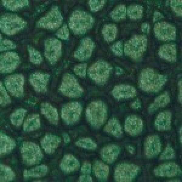 Pebeo fantasy prisme 45ml nº29 Hoja PEBEO CENTROARTESANO