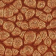 Pebeo fantasy prisme 45ml nº33 ¨Canela PEBEO CENTROARTESANO