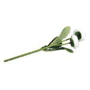 Copia de Ramas de Daisy blancas RAYHER CENTROARTESANO