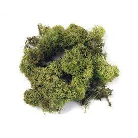 Musgo de islandia 30g RAYHER CENTROARTESANO