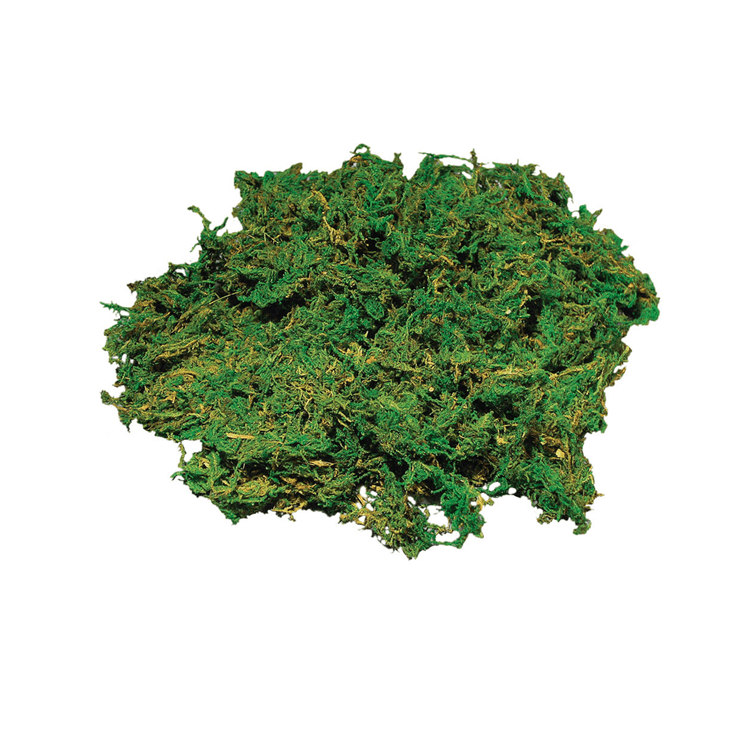 Musgo natural limpio 50g 8508800 RAYHER CENTROARTESANO
