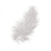 Rayher plumas colores 15u blancas de 10-15cm 8516802 RAYHER Oferta CENTROARTESANO