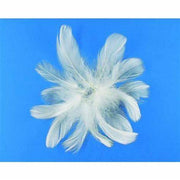 Rayher plumas colores 5g blancas 8514302 RAYHER Oferta CENTROARTESANO