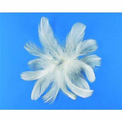 Rayher plumas colores 5g blancas 8514302 RAYHER Oferta CENTROARTESANO