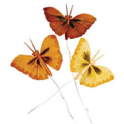 rayher mariposas plumas 6cm naranja 812205 RAYHER CENTROARTESANO