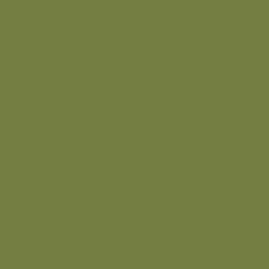 Pintura tela sosoft 59ml DSS019 Avocado green