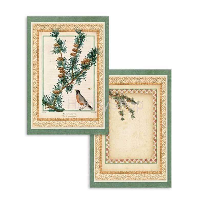Stamperia block paper 24 hojas 11.4x16.5 SBBPC06 winter botanic STAMPERIA CENTROARTESANO
