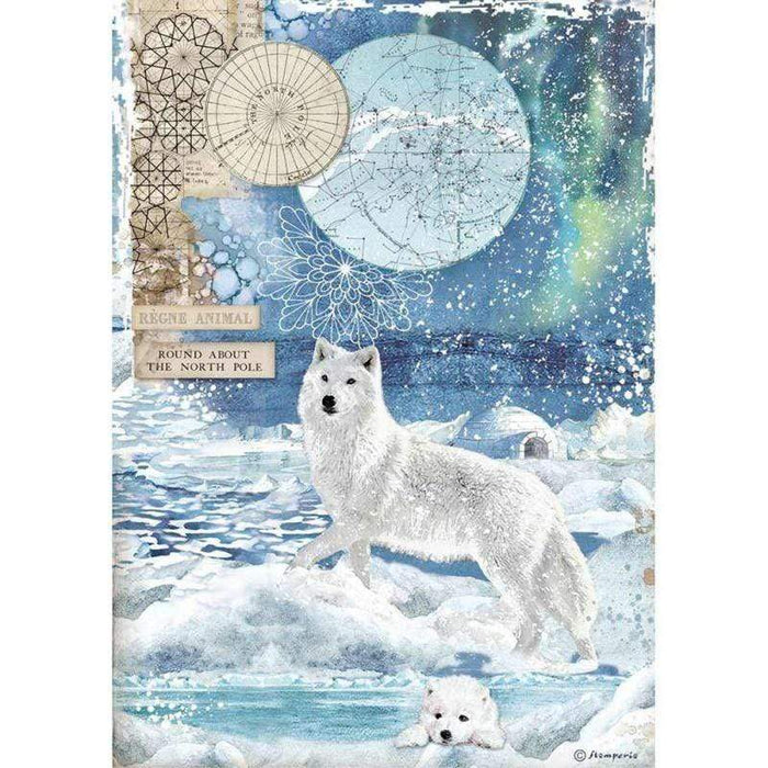 Stamperia papel arroz A4 DFSA4480 Artic World Lobo polar STAMPERIA CENTROARTESANO