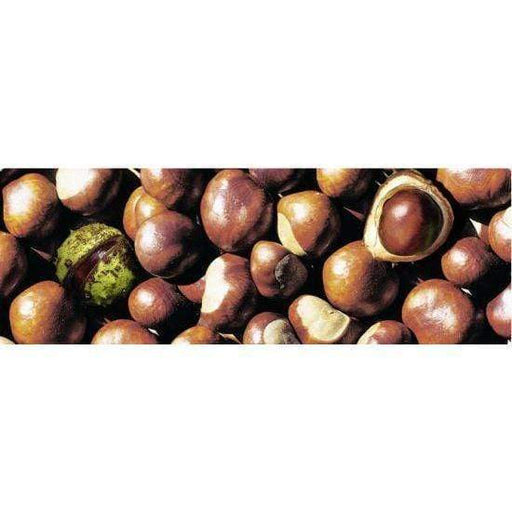 Ursus cartulina 300g 50x68 12722236 casta±as URSUS CENTROARTESANO