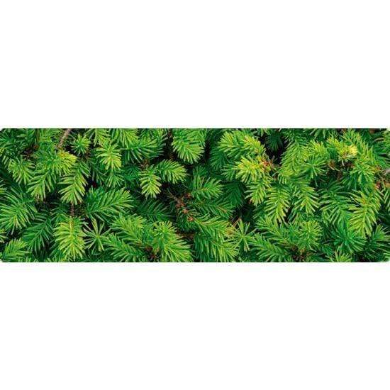 Ursus cartulina 300g 50x68 12722263 hoja abeto URSUS CENTROARTESANO