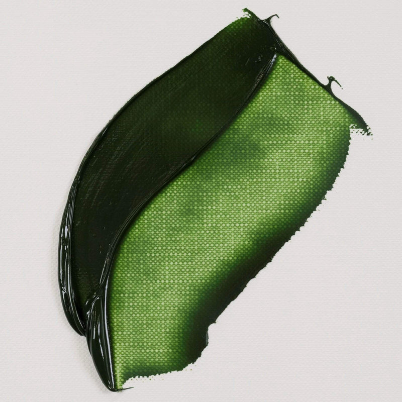 Van Gogh 20ml 02046233 Verde Vejiga VAN GOGH CENTROARTESANO