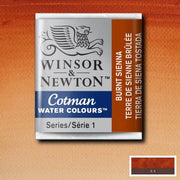 Pastilla acuarela cotman Winsor & newton 1/2 godet ud WINSOR & NEWTON 074 Tierra siena Tostada CENTROARTESANO