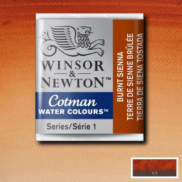 Pastilla acuarela cotman Winsor & newton 1/2 godet ud WINSOR & NEWTON 074 Tierra siena Tostada CENTROARTESANO