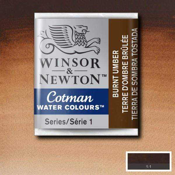 Pastilla acuarela cotman Winsor & newton 1/2 godet ud WINSOR & NEWTON 076 Tierra sombra Tostada CENTROARTESANO