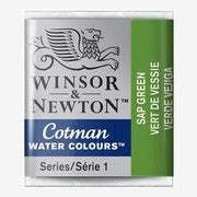 Pastilla acuarela cotman Winsor & newton 1/2 godet ud WINSOR & NEWTON 599 Verde Vejiga CENTROARTESANO